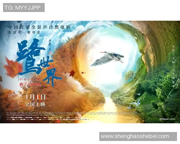 JDG战队在DOTA2赛场上的蜕变与成长历程全景回顾