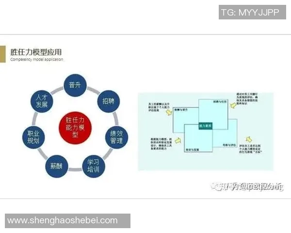 数据分析BLG团队成员个人能力表现的全面评估与探讨